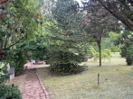 Garten - 3-Zimmer-Wohnung im Obergeschoss mit Gartennutzung und Stellplatz – Einbau-/Wandschränke vorhanden