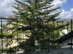 Balkon - 3-Zimmer-Wohnung im Obergeschoss mit Gartennutzung und Stellplatz – Einbau-/Wandschränke vorhanden