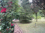 Garten - 3-Zimmer-Wohnung im Obergeschoss mit Gartennutzung und Stellplatz – Einbau-/Wandschränke vorhanden