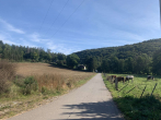 Umfeld II - Wohnen im Grünen…