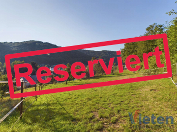 Wunderschönes, 3707 m² großes Grundstück mit Talblick mit abrisswürdigem Gebäude in Ortsrandlage, 53937 Schleiden, Haus