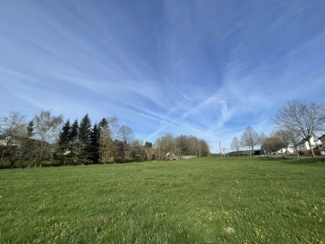 Viel Grün mit Bachlauf für Ihren Traum vom Haus – Wunderschönes Grundstück in 2-3 Parzellen teilbar!, 53949 Dahlem, Grundstück