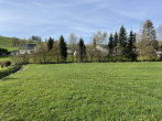 Grundstück - Viel Grün mit Bachlauf für Ihren Traum vom Haus – Wunderschönes Grundstück in 2-3 Parzellen teilbar!