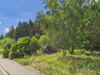 Grundstück - Bauland mit eigenem Wald – ein Grundstück mit besonderem Charakter