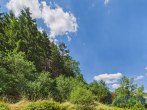 Grundstück - Bauland mit eigenem Wald – ein Grundstück mit besonderem Charakter