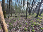 Foto des Eigentümers - Bauland mit eigenem Wald – ein Grundstück mit besonderem Charakter