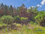 Grundstück - Bauland mit eigenem Wald – ein Grundstück mit besonderem Charakter