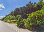 Grundstück - Bauland mit eigenem Wald – ein Grundstück mit besonderem Charakter