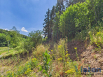 Grundstück - Bauland mit eigenem Wald – ein Grundstück mit besonderem Charakter