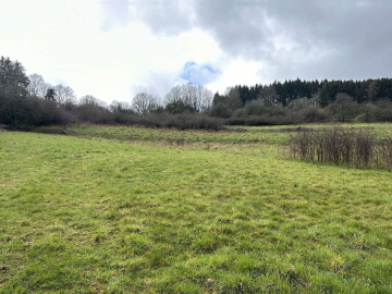 Schöne Bauparzelle im Neubaugebiet von Hellenthal, 53940 Hellenthal, Grundstück