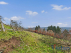 Bild - Traumhafter Talblick – großes Hanggrundstück mit Abrissobjekt, Wiesen- und Waldfläche in Scheuren