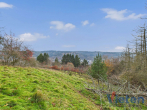 Titelbild - Traumhafter Talblick – großes Hanggrundstück mit Abrissobjekt, Wiesen- und Waldfläche in Scheuren
