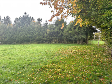 Bauen Sie Ihren Traum vom Haus in der malerischen Eifel, 53940 Hellenthal, Grundstück